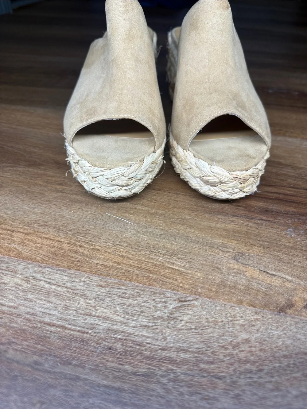 VENUS Beige Suede Espadrille Wedge Mule